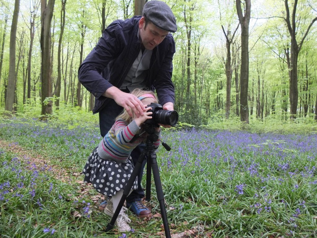 Monday Inspiration Bluebell Woods - Illustration by Jonathan Chapman