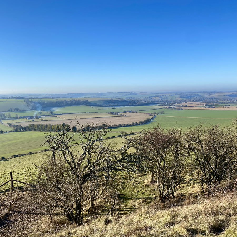 Photo of the landscape around Old Winchester Hill in Hampshire taken by local artist and illustrator Jonathan Chapman